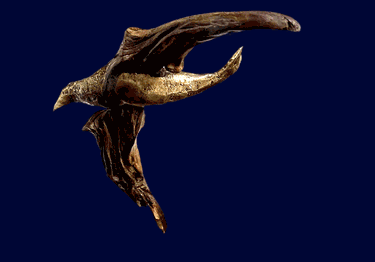 bronzes 2025