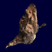 oiseaux en bronze et bois